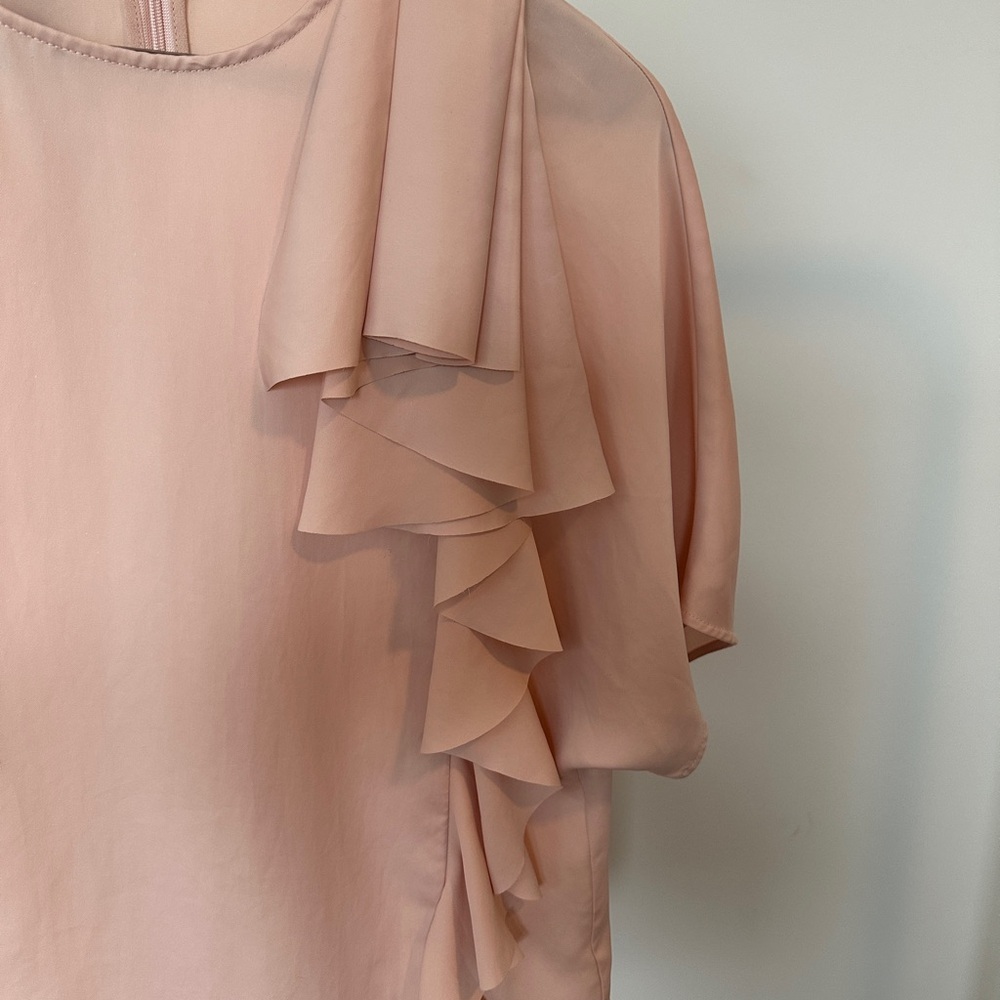 Jason Wu Blush Pink Ruffle Blouse - Picture 4 of 13